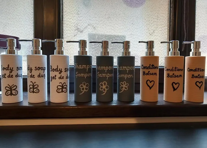 Secret Boutique Hostel Brașov